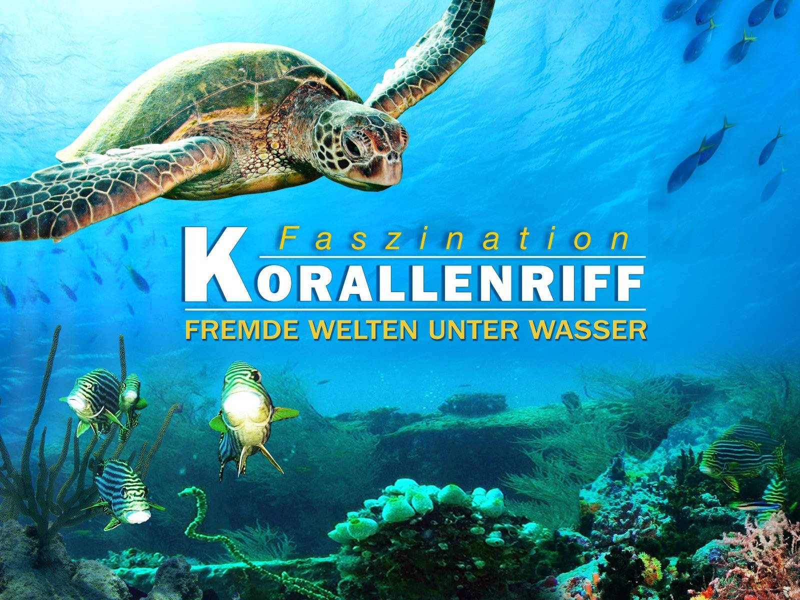 Фільм «Кораловий риф: дивовижні підводні світи» (2012) дивитись онлайн українською