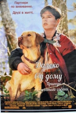 Фільм «Уроки виживання / Далеко від дому. Пригоди жовтого собаки» (1995) дивитись онлайн українською